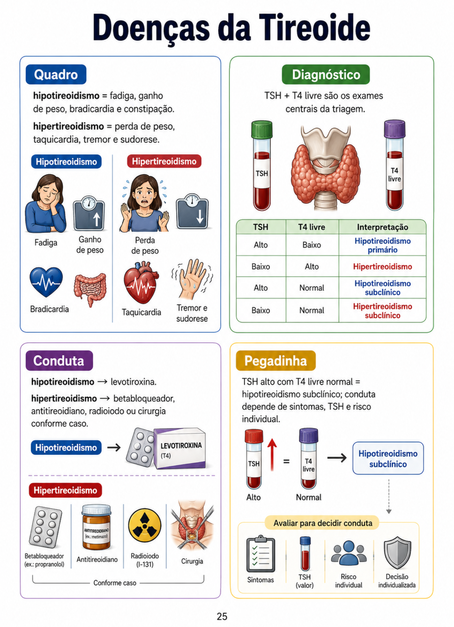 Mapa ENAMED 25