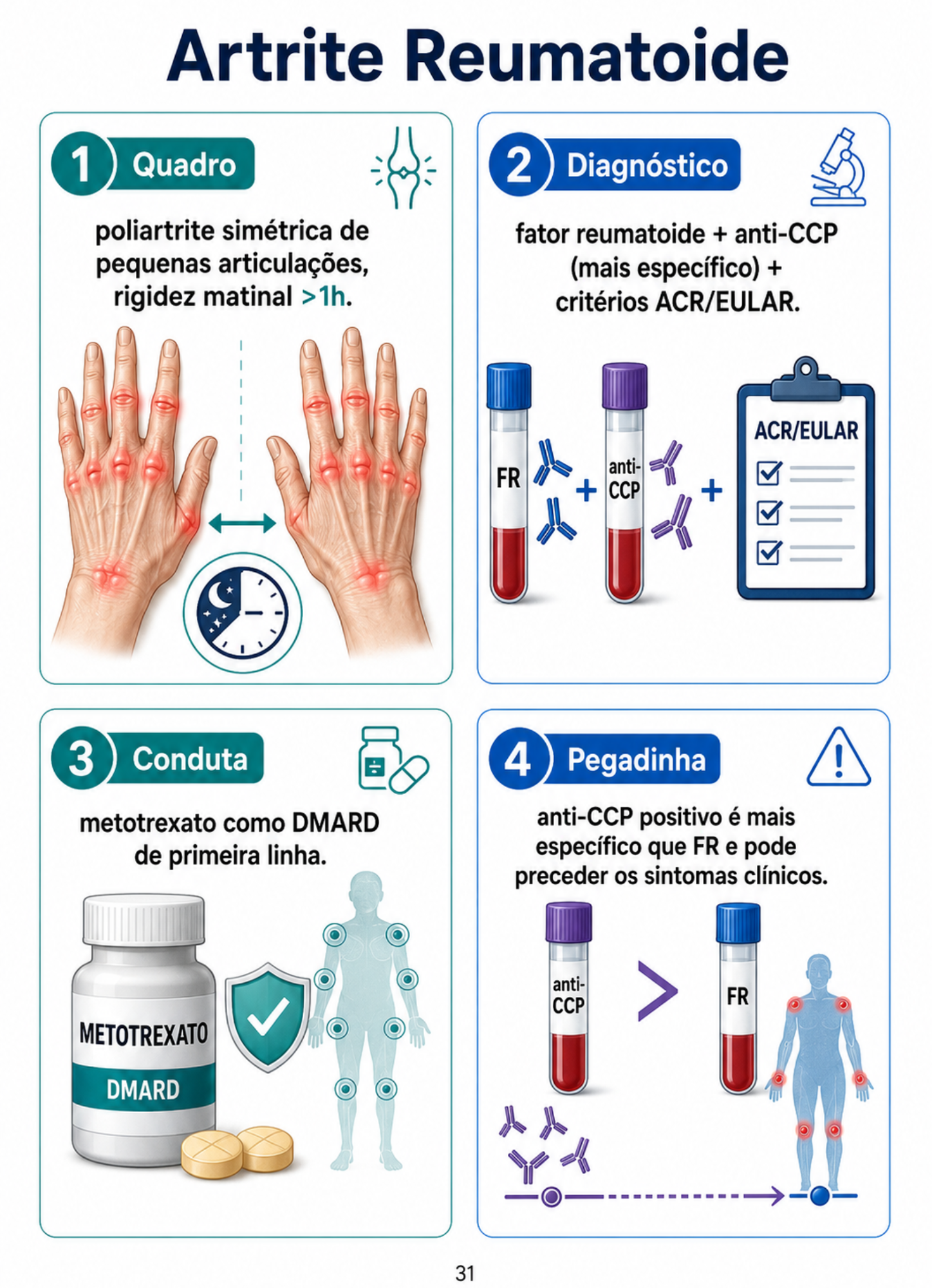 Mapa ENAMED 31