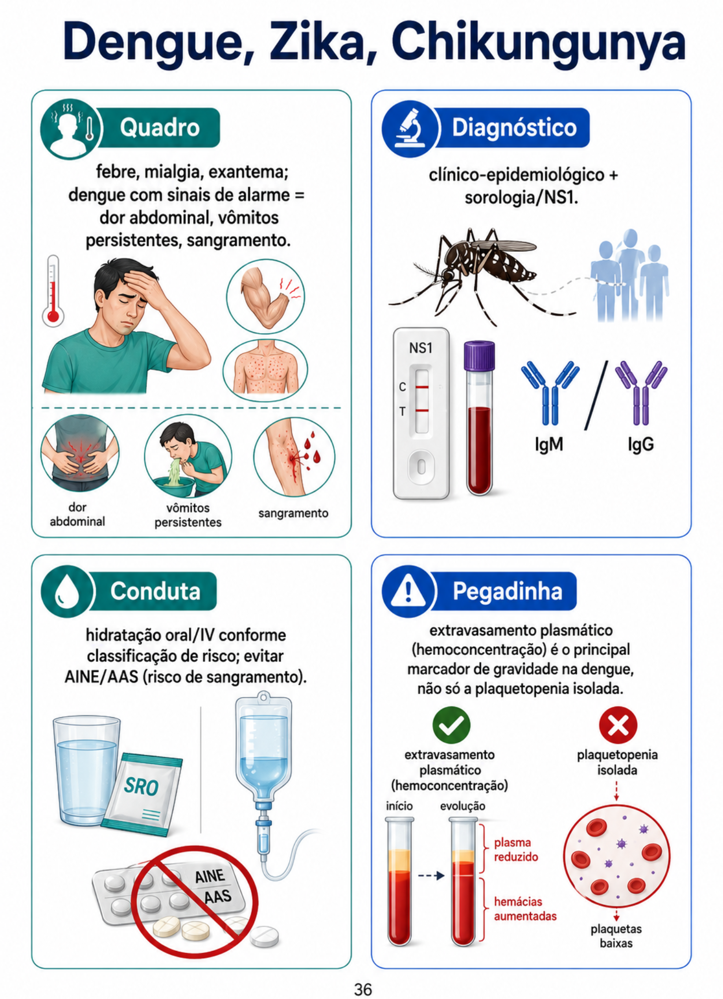Mapa ENAMED 36