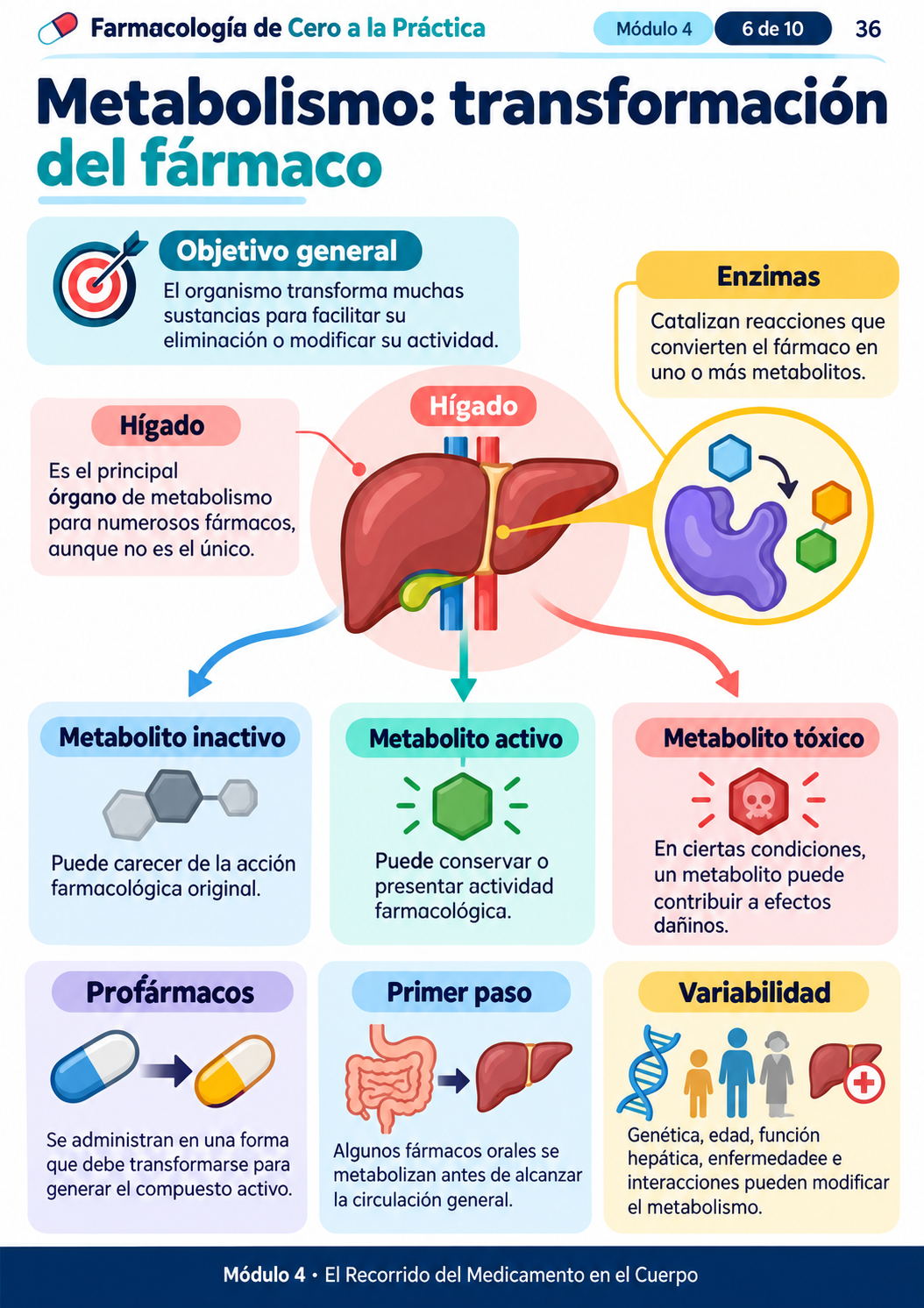 Muestra Farmacología 4